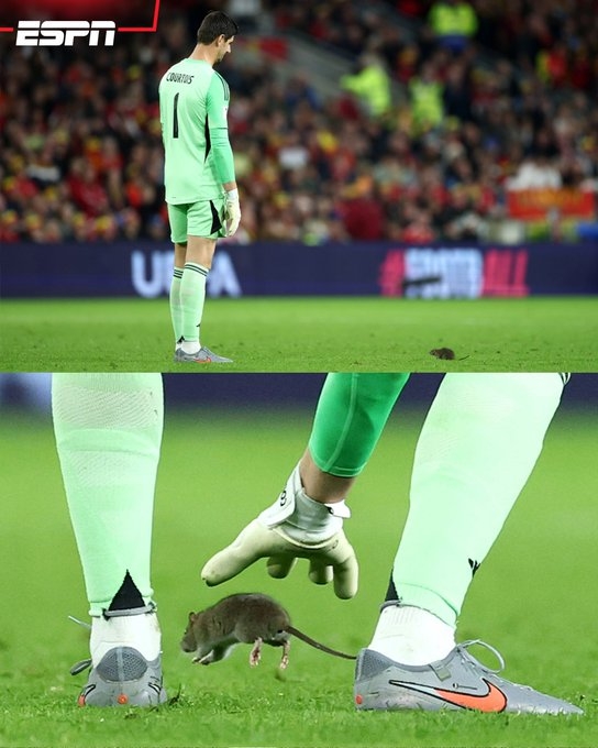 Courtois: Nếu tôi bắt được chu